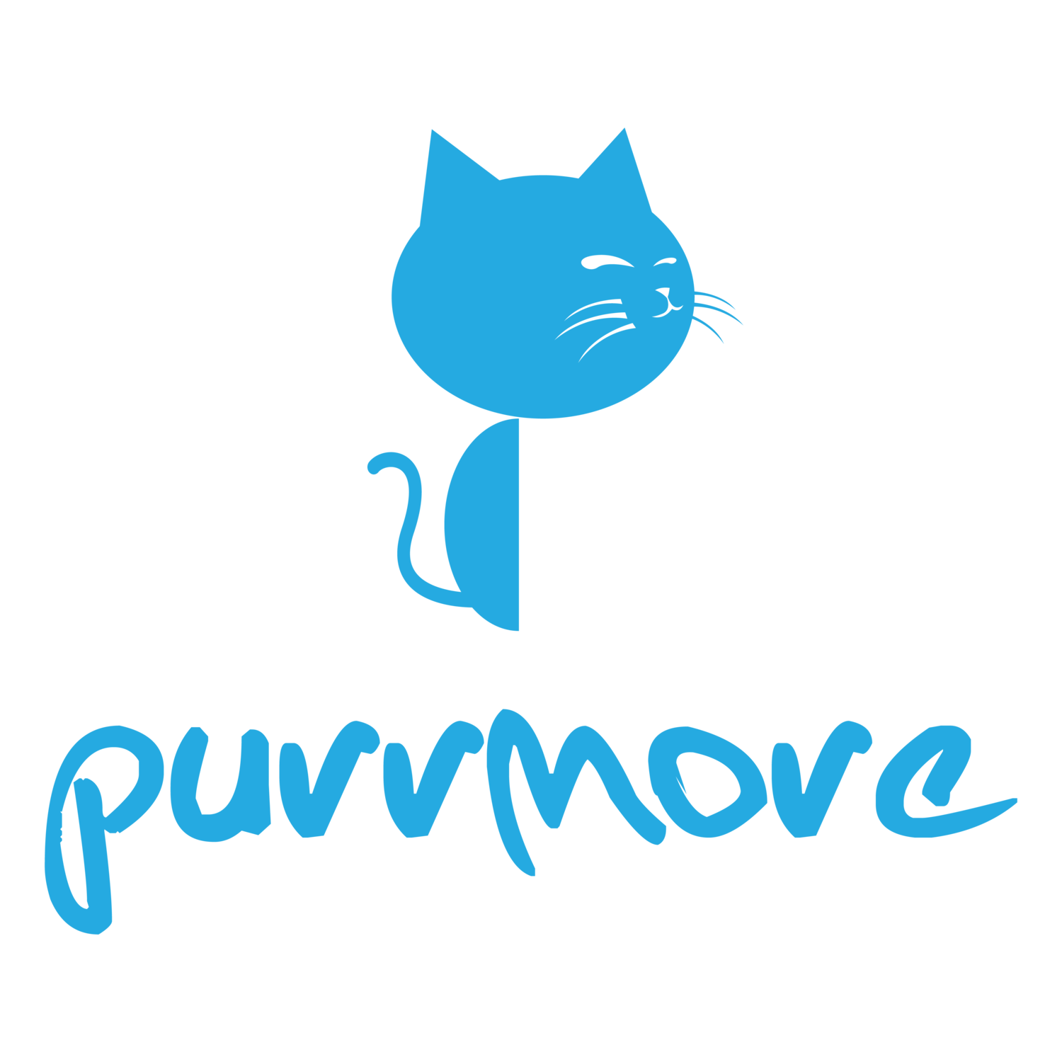 Purrmore Cat Care