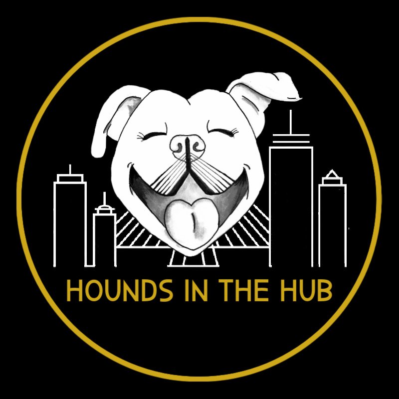 Hounds in the Hub